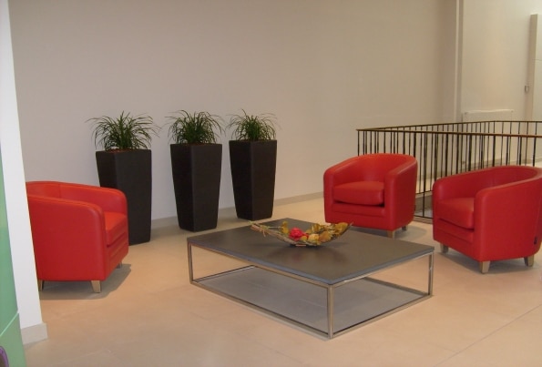 home-vegetal-plantes-en-pot-03