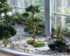 jardins intérieur moderne home végétal