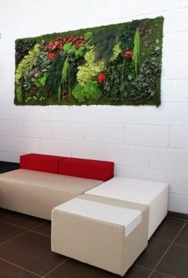 murs-vegetaux-home-vegetal-06