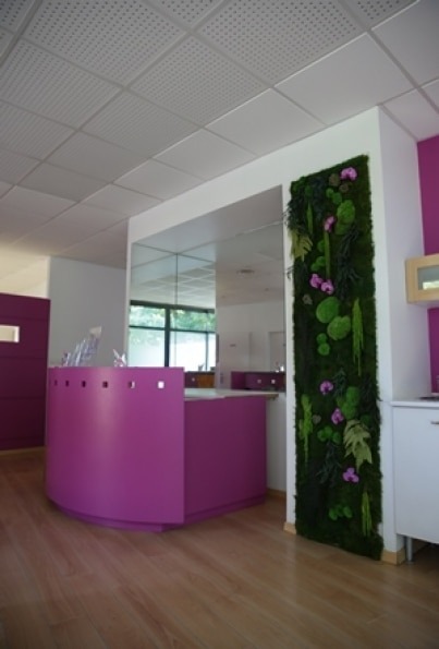 murs-vegetaux-home-vegetal-07