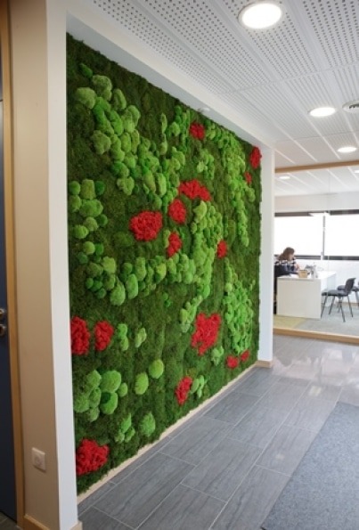 murs-vegetaux-home-vegetal-08