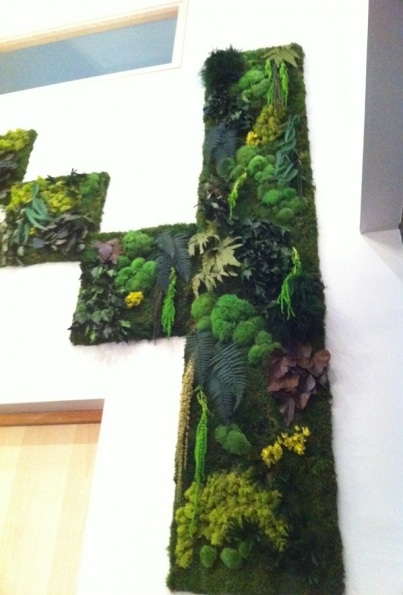 murs-vegetaux-home-vegetal-11