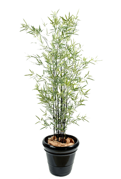 plantes-artificielles-home-vegetal-bambou-miniblack