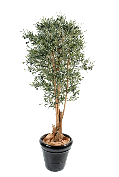 plantes-artificielles-home-vegetal-olivier-tronc-noueux