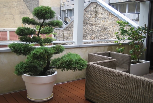 terrasses-et-balcons-home-vegetal-02