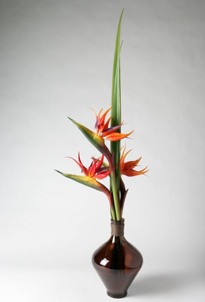 bouquet-accueil-home-vegetal-8