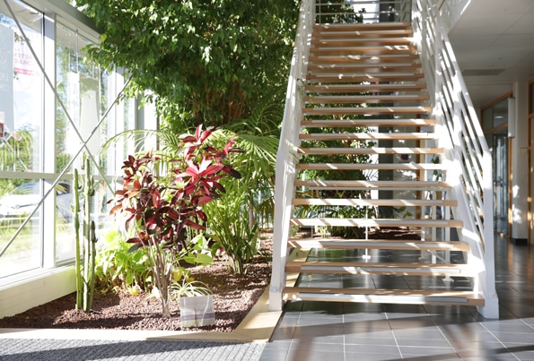 entretien-plantes-home-vegetal-1