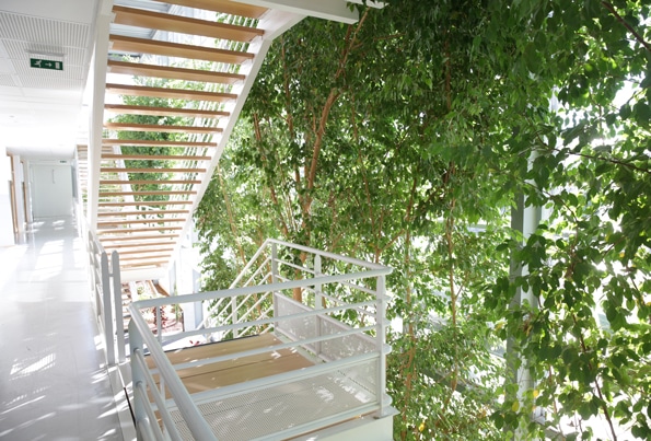 entretien-plantes-home-vegetal-2