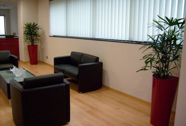 entretien-plantes-home-vegetal-3
