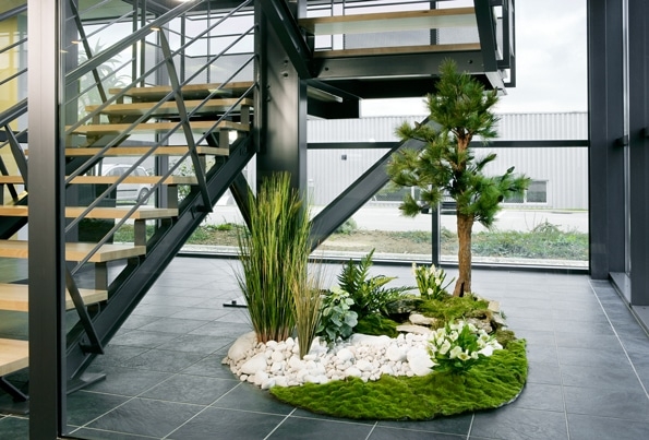 Home Vétal réalise des jardins d'interieur de plantes